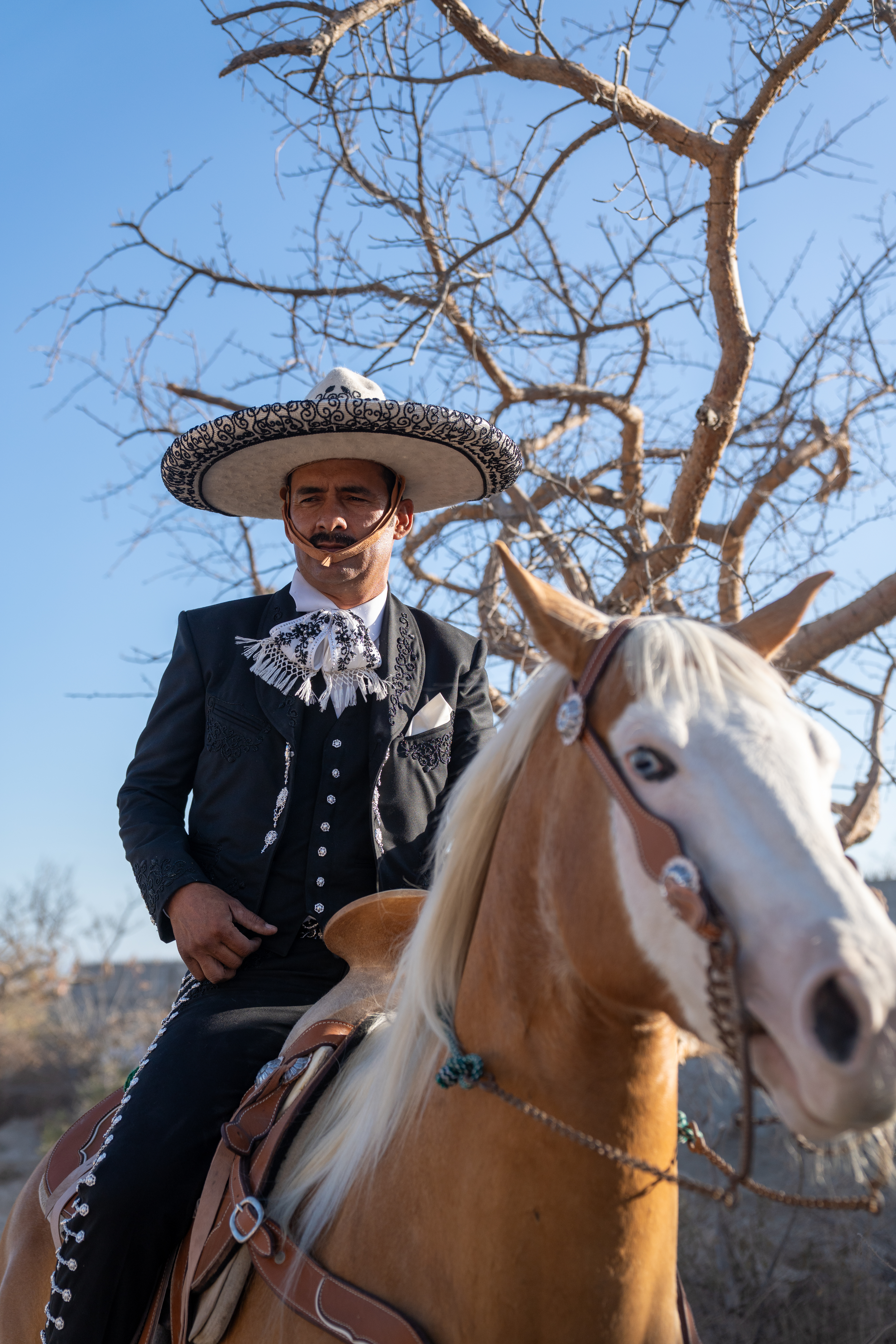 Aurelio Delgadillo - Casa Guadalupe