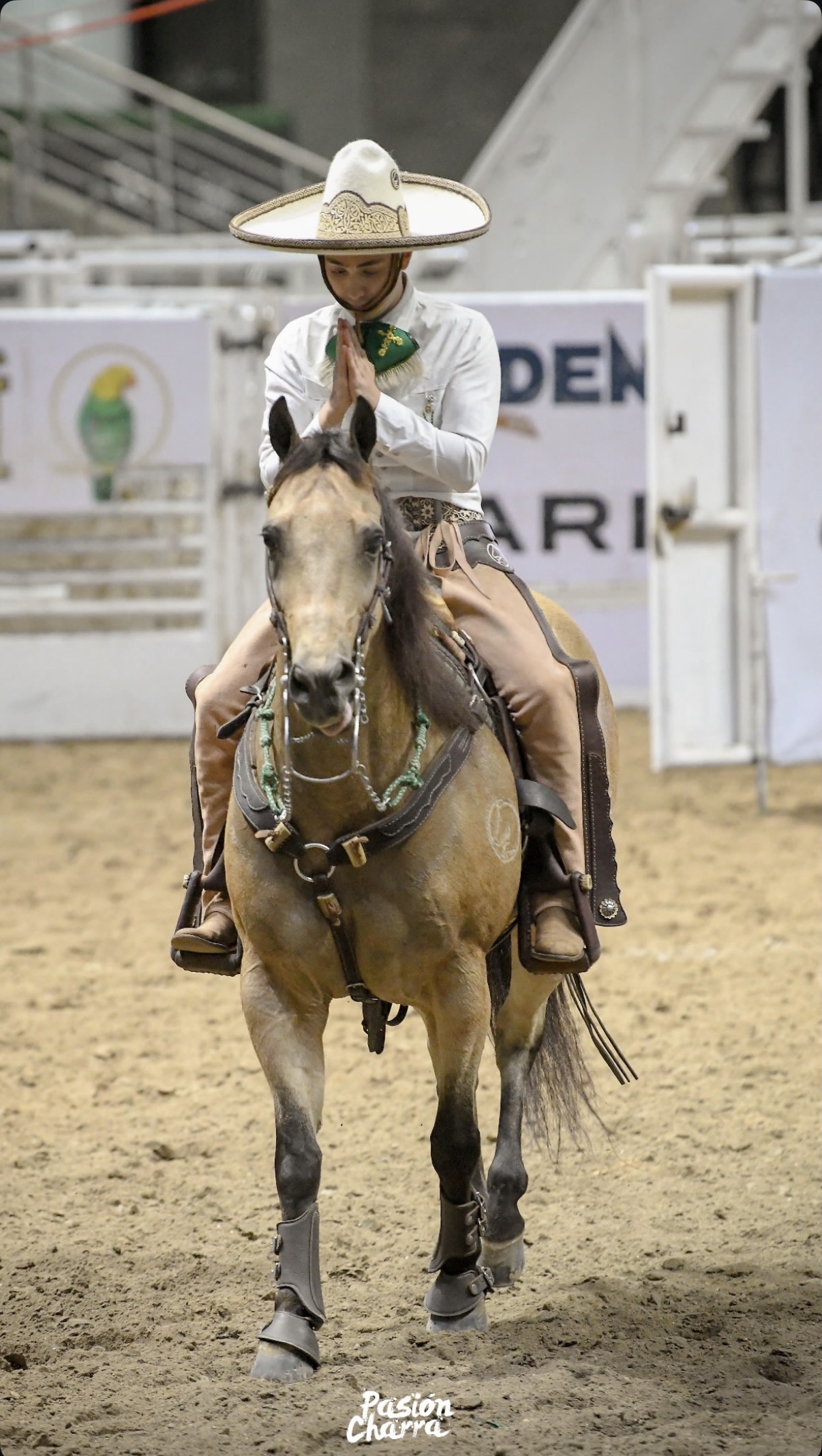 Daniel Zárate - Casa Guadalupe